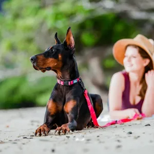 Aqua Waterproof Dog Leash