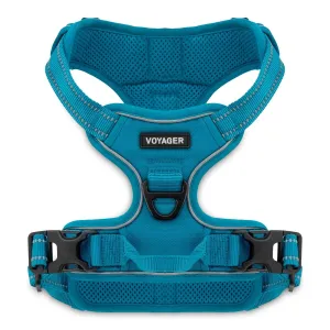 Dual-Attachment Dog Harness