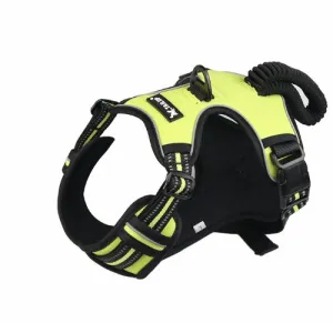 Easy Control No-Pull Harness