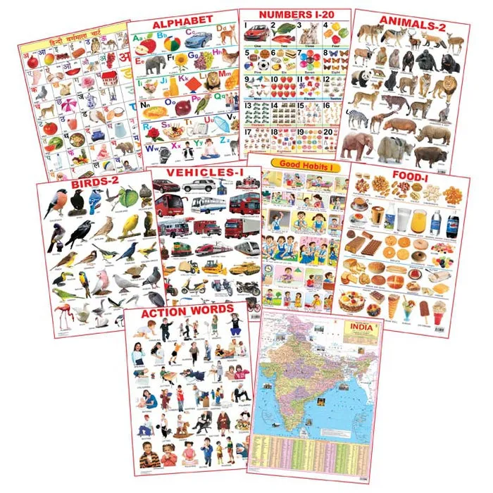 Educational Charts - Combo 2 (10 Charts)