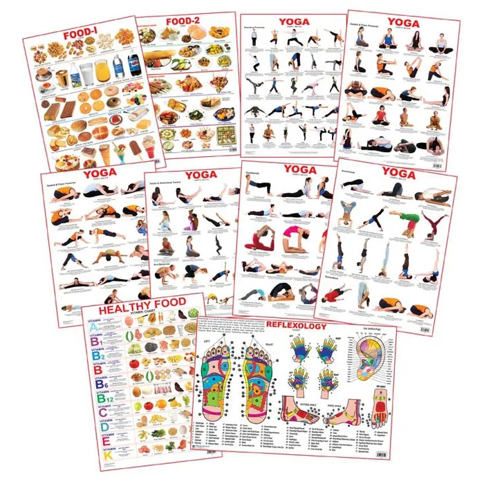 Educational Charts - Combo 6 (10 Charts)