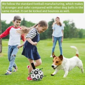 Interactive Ball Pet Toy