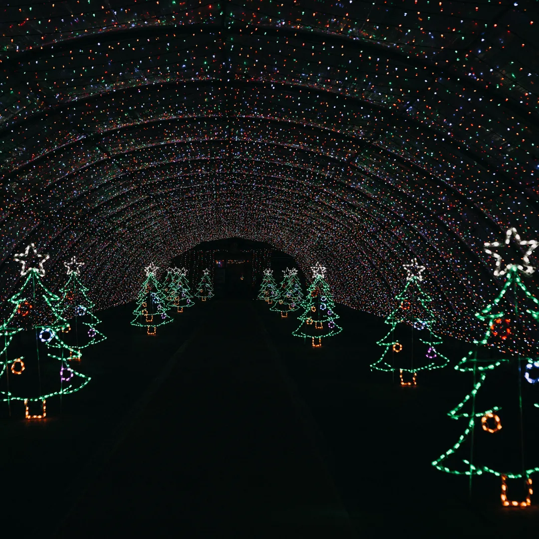 Monday, December 23rd