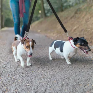 No-Tangle Dual Dogs Leash