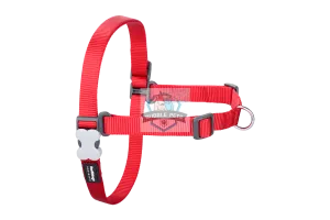 Red Dingo No-Pull Harness - Red